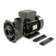 Rubber mounts for Waterway 56frame pumps