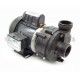 Balboa 1/15hp circulation pump 1030120