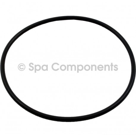 Lid o ring