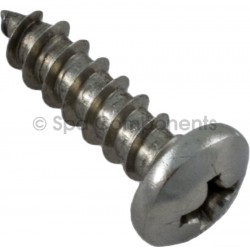 Hinge screw