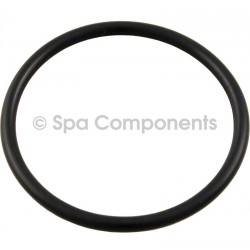 2" Heater and Pump union O Rings