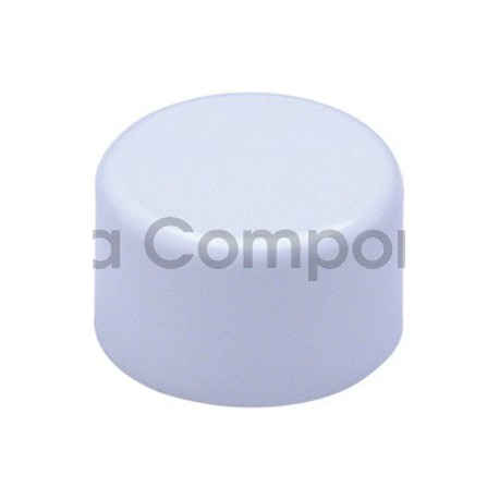 Inverted plug 1-1/2"