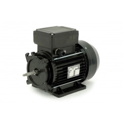 3hp 2spd 56frame motor