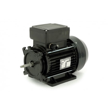 3hp 2spd 56frame motor