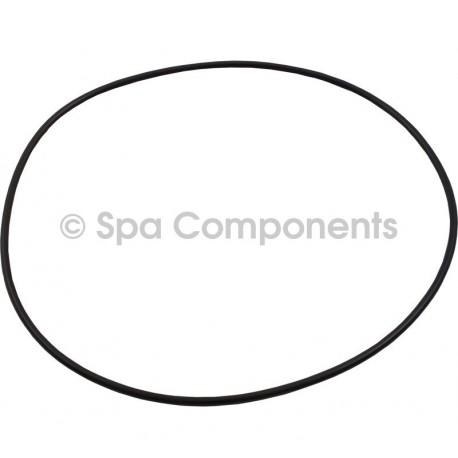 Waterway Executive Volute O Ring