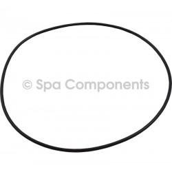 Waterway Executive Volute O Ring