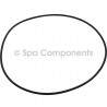 Waterway Executive Volute O Ring