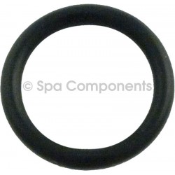 Waterway Executive drain plug o ring
