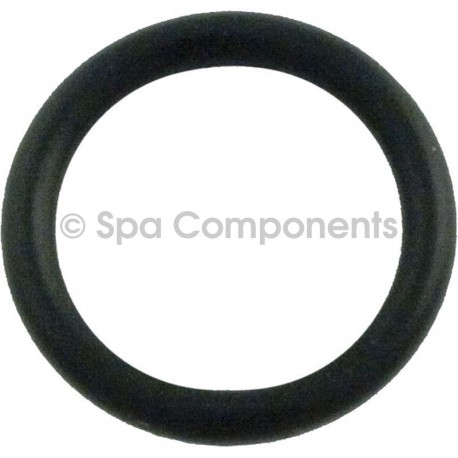 Waterway Executive drain plug o ring