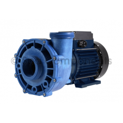 Aqua Flo XP2e - 2hp 2speed 48 frame