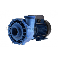 Aqua Flo XP2e - 2hp 2speed 48 frame