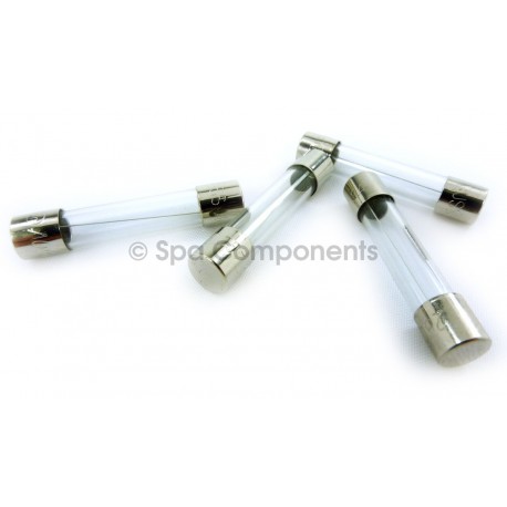 Balboa fuse - Balboa transformer fuse - GS100