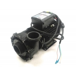 Hotspring Watkins 1 speed pump