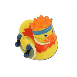 Skateboarder Floating Rubber Duck