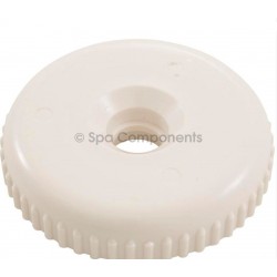Cap for 2" Divertor