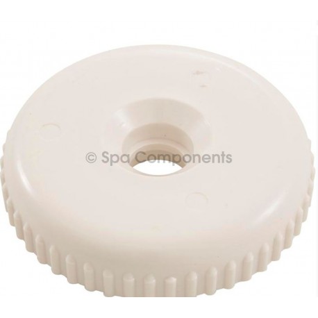 Cap for 2" Divertor