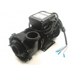 Hotspring Watkins 2 speed pump