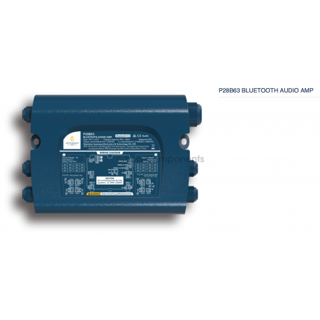 Joyonway P28B63 Bluetooth Audio Amp
